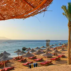 Egipt last minute all inclusive najtaniej: pusta plaża z leżakami i parasolami pod palmą, morze i góry w oddali.