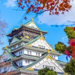 Zamek w Osace, jeden z najpiękniejszych zabytków, który warto zobaczyć w Japonii. Jesienne liście dodają mu uroku.