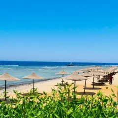 Słoneczna plaża w Marsa Alam z rzędami parasoli i leżaków. Idealne miejsce na relaks i podziwianie widoków, jedna z głównych atrakcji regionu.