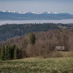 Widok na mglistą dolinę i ośnieżone gorce szczyty w oddali. Na pierwszym planie las i drewniana szopa.