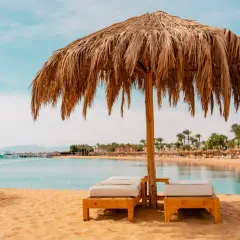 Idealne miejsce na wczasy w Egipcie: piaszczysta plaża, palmy, turkusowa woda i leżaki pod słomianym parasolem.