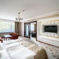 Pokój w hotelu Gołębiewski Wisła: łóżko, kanapa, fotele, stolik i TV.