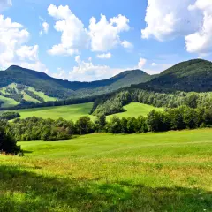 Zielone, pofałdowane łąki i lasy na tle błękitnego nieba z chmurami. W oddali widać łagodne, zalesione **beskid niski szczyty**.
