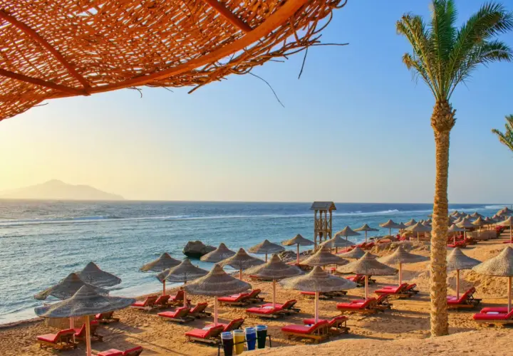 Egipt last minute all inclusive najtaniej: pusta plaża z leżakami i parasolami pod palmą, morze i góry w oddali.