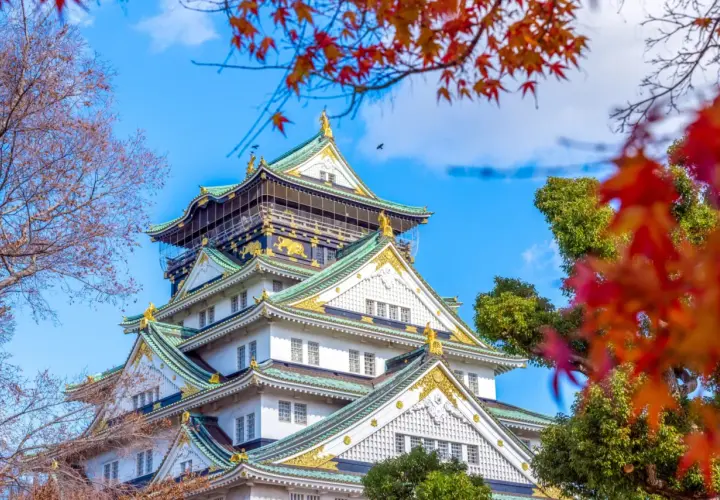 Zamek w Osace, jeden z najpiękniejszych zabytków, który warto zobaczyć w Japonii. Jesienne liście dodają mu uroku.