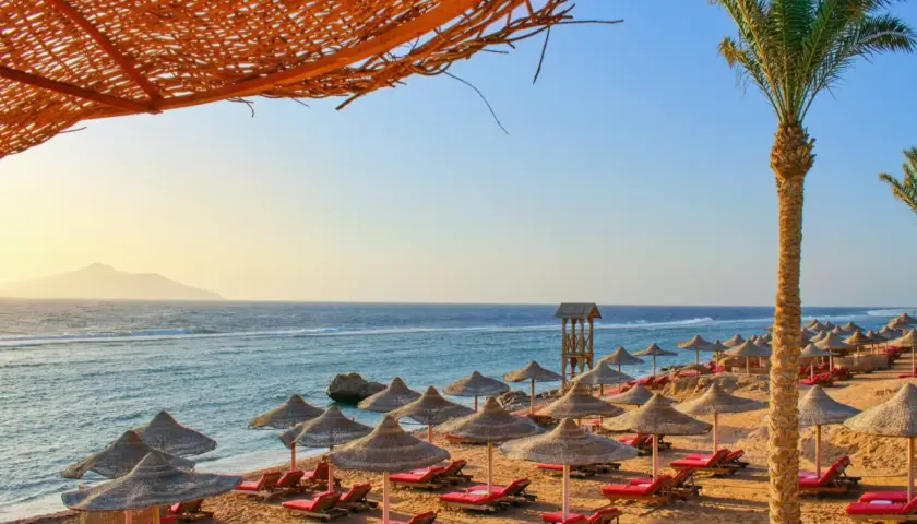 Egipt last minute all inclusive najtaniej: pusta plaża z leżakami i parasolami pod palmą, morze i góry w oddali.