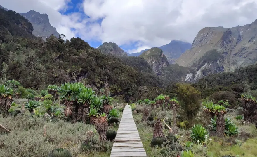 Rwenzori, czyli góry księżycowe. Jak przygotować się do trekkingu?