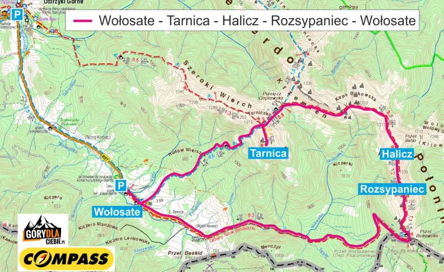 Szlak na Tarnicę: Ile km i czasu? Poradnik od eksperta Bieszczad