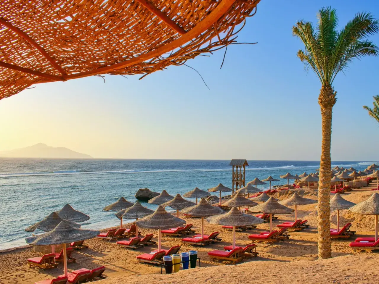 Egipt last minute all inclusive najtaniej: pusta plaża z leżakami i parasolami pod palmą, morze i góry w oddali.