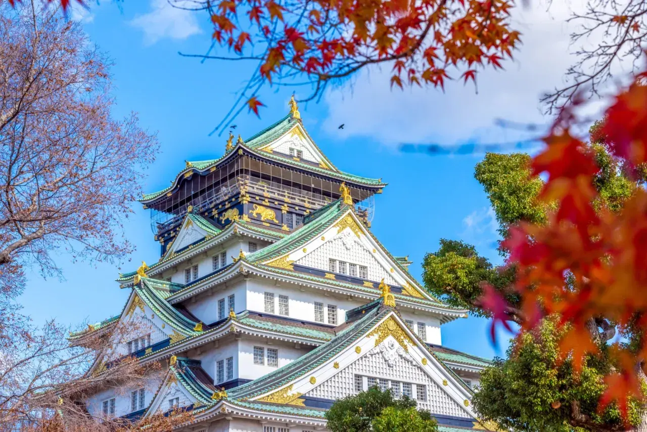 Zamek w Osace, jeden z najpiękniejszych zabytków, który warto zobaczyć w Japonii. Jesienne liście dodają mu uroku.