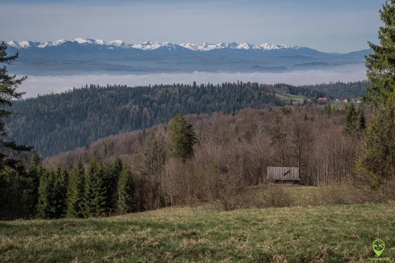Widok na mglistą dolinę i ośnieżone gorce szczyty w oddali. Na pierwszym planie las i drewniana szopa.