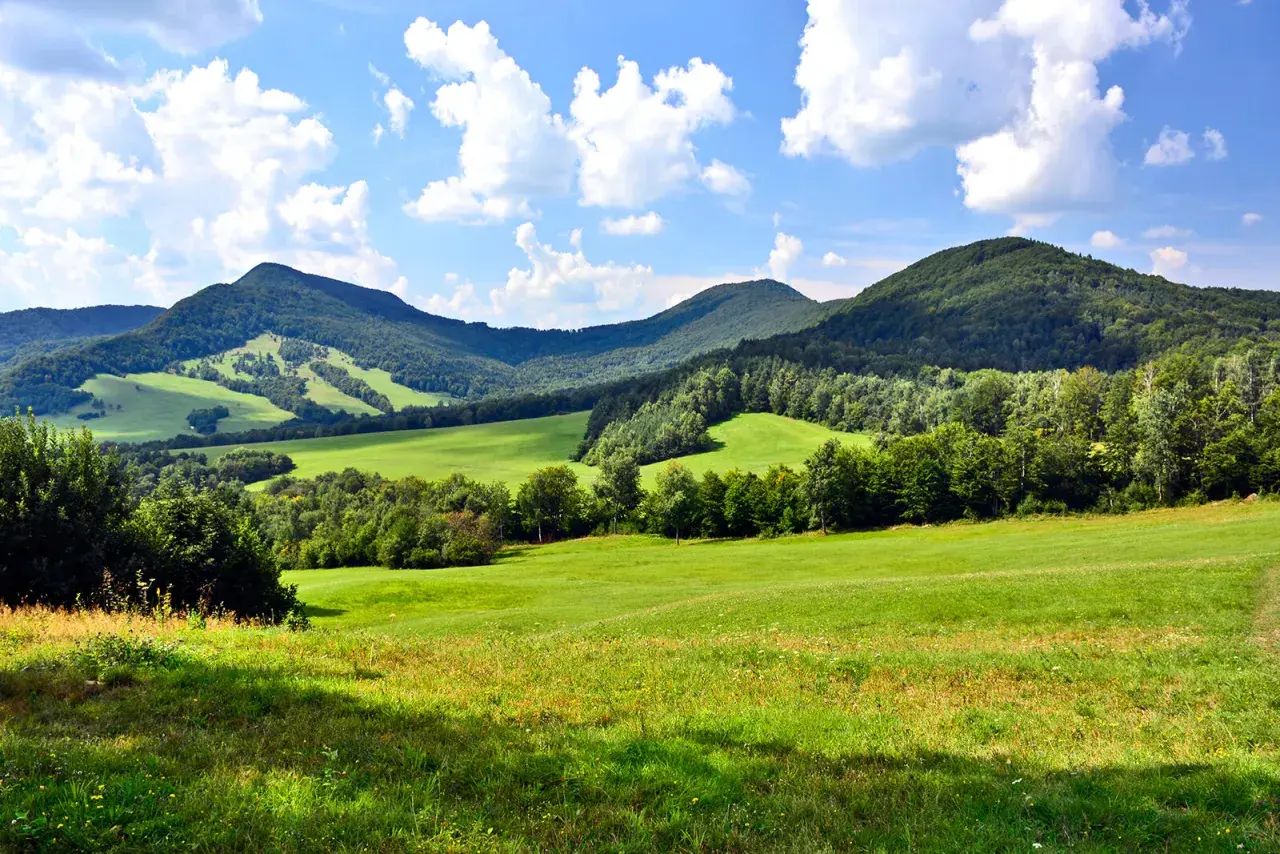 Zielone, pofałdowane łąki i lasy na tle błękitnego nieba z chmurami. W oddali widać łagodne, zalesione **beskid niski szczyty**.