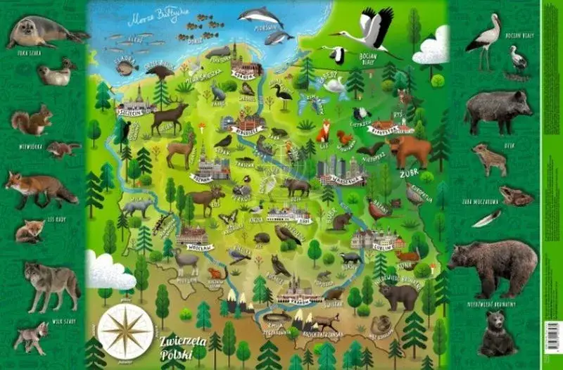 Mapa Polski zwierzęta górskie
